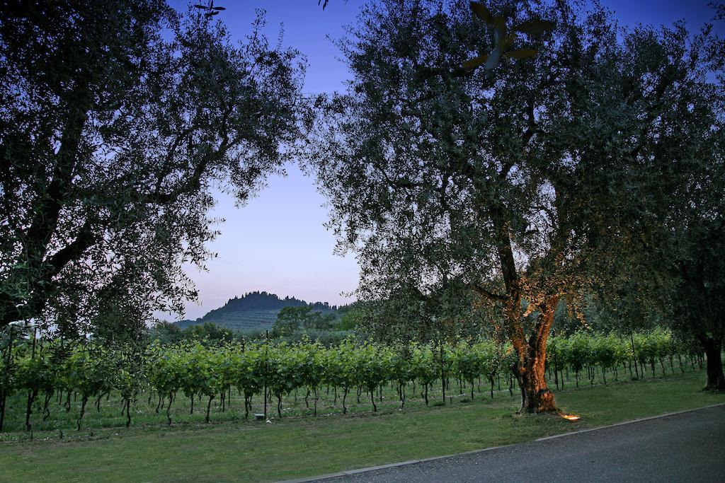La Zerla Bed & Breakfast Bardolino Exterior photo